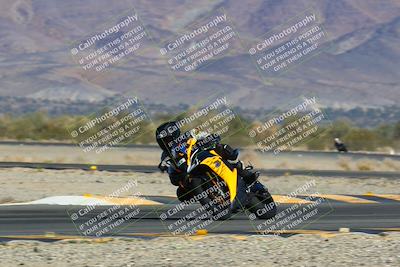 media/Jan-13-2024-SoCal Trackdays (Sat) [[9c032fe5aa]]/Turn 14 (10am)/